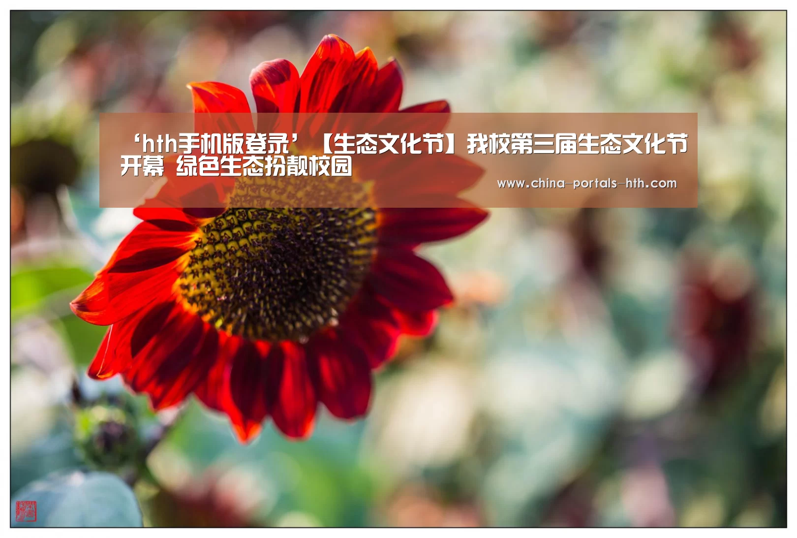 hth官方网站
