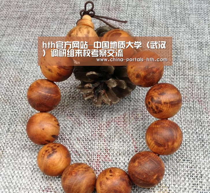 hth官方网站-中国地质大学(武汉)调研组来校考察交流(图3) hthapp下载