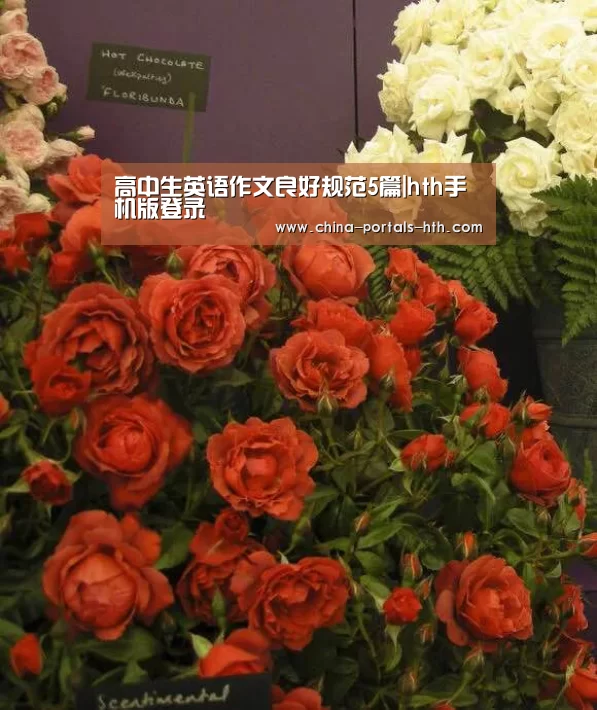 高中生英语作文良好规范5篇|hth手机版登录(图2) hth官方网站